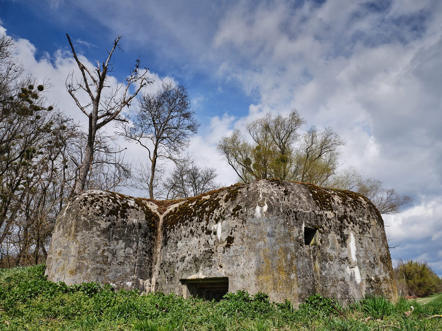 Why does Switzerland have so many bunkers? The Fascinating History of ...